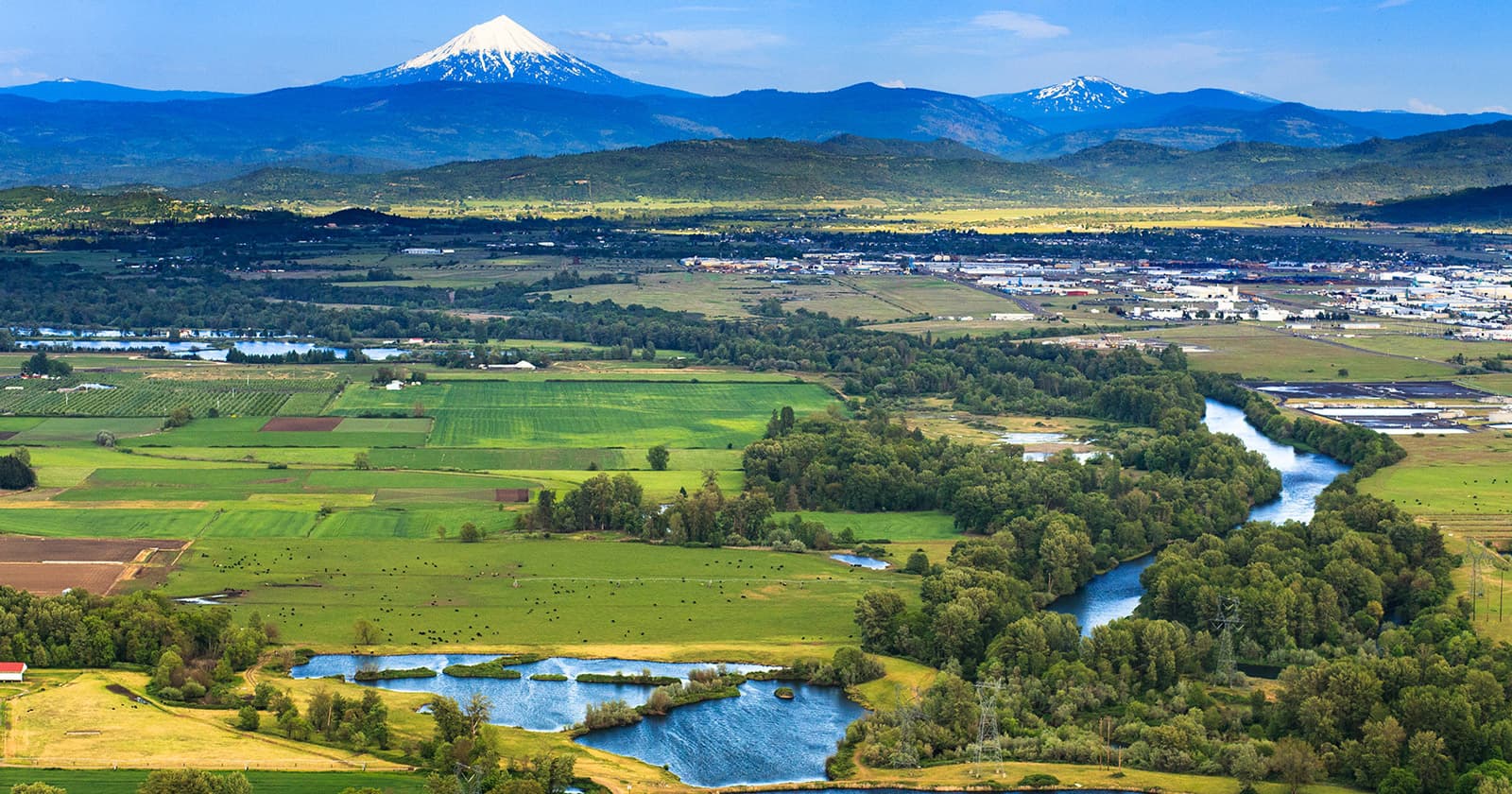 Environment Variables in Power Platform Solutions